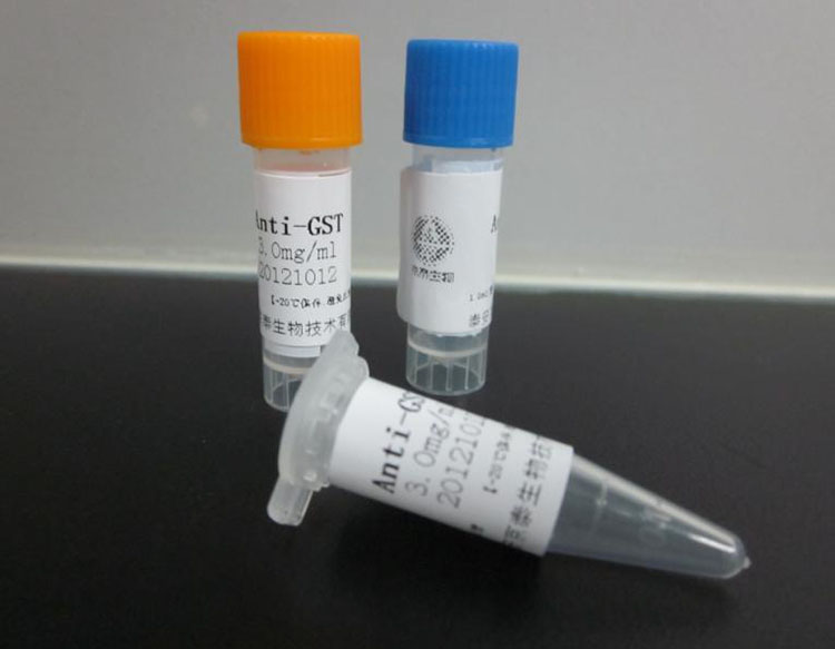 冷鏈保存國際快遞:打破距離的“保鮮密碼”